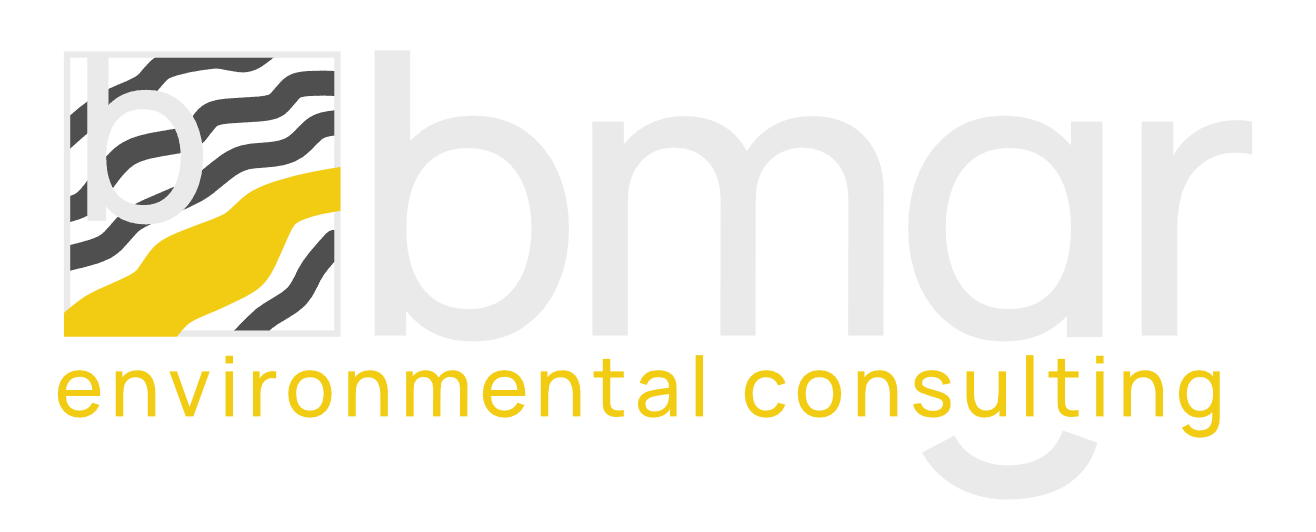 bmgr environmental consulting logo